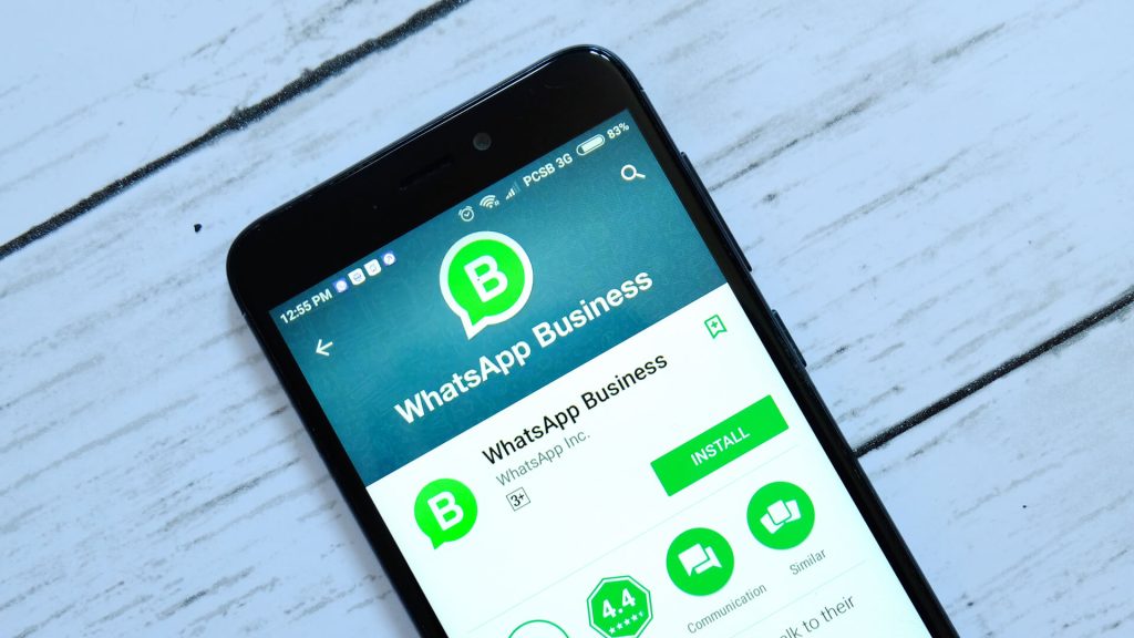 WhatsApp Business user interface.